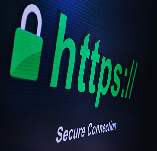 Hosting ve Domain Hizmetleri